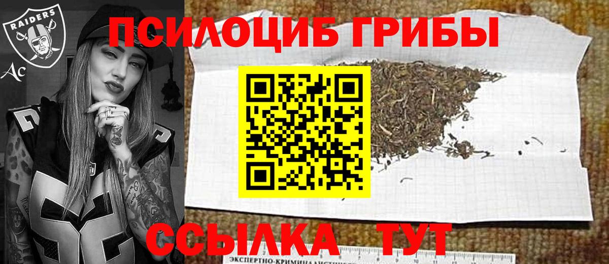 Лесозаводск  Галлюциногенные грибы прущие грибы  Вход с VPN 