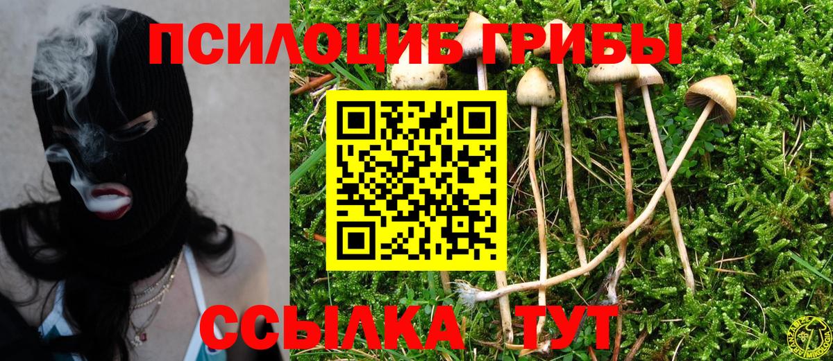 Псилоцибиновые грибы мицелий Лесозаводск