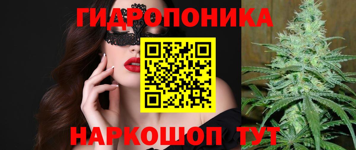 Бошки марихуана OG Kush  Канабис Ganja  Вход с VPN  Канабис план  Лесозаводск 